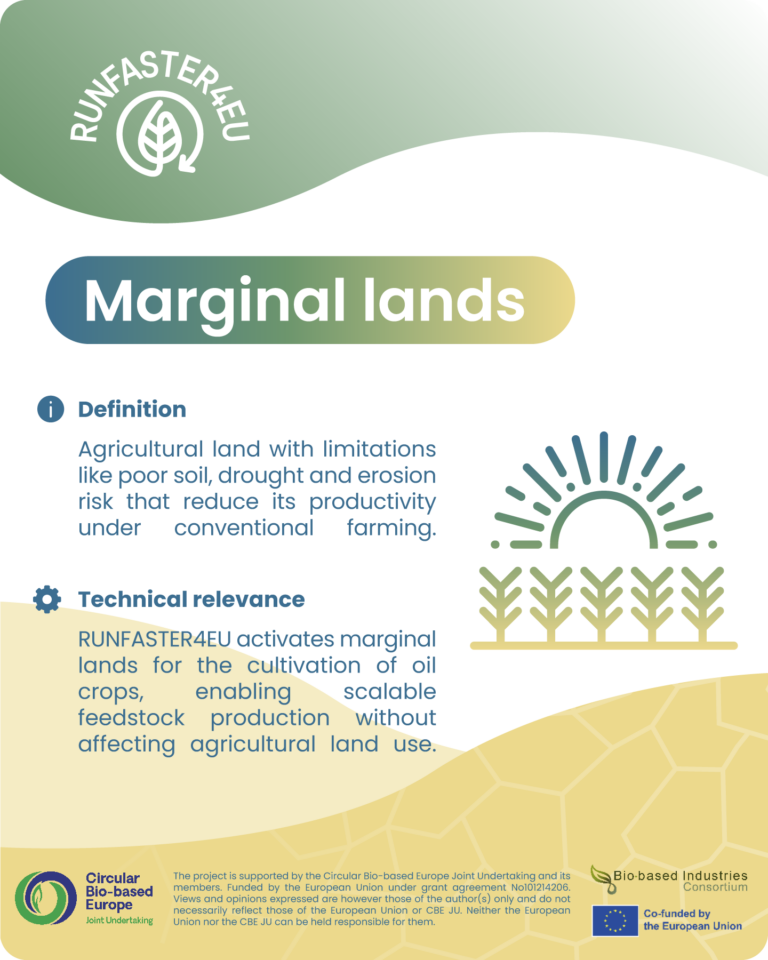 snack-card-marginal-lands