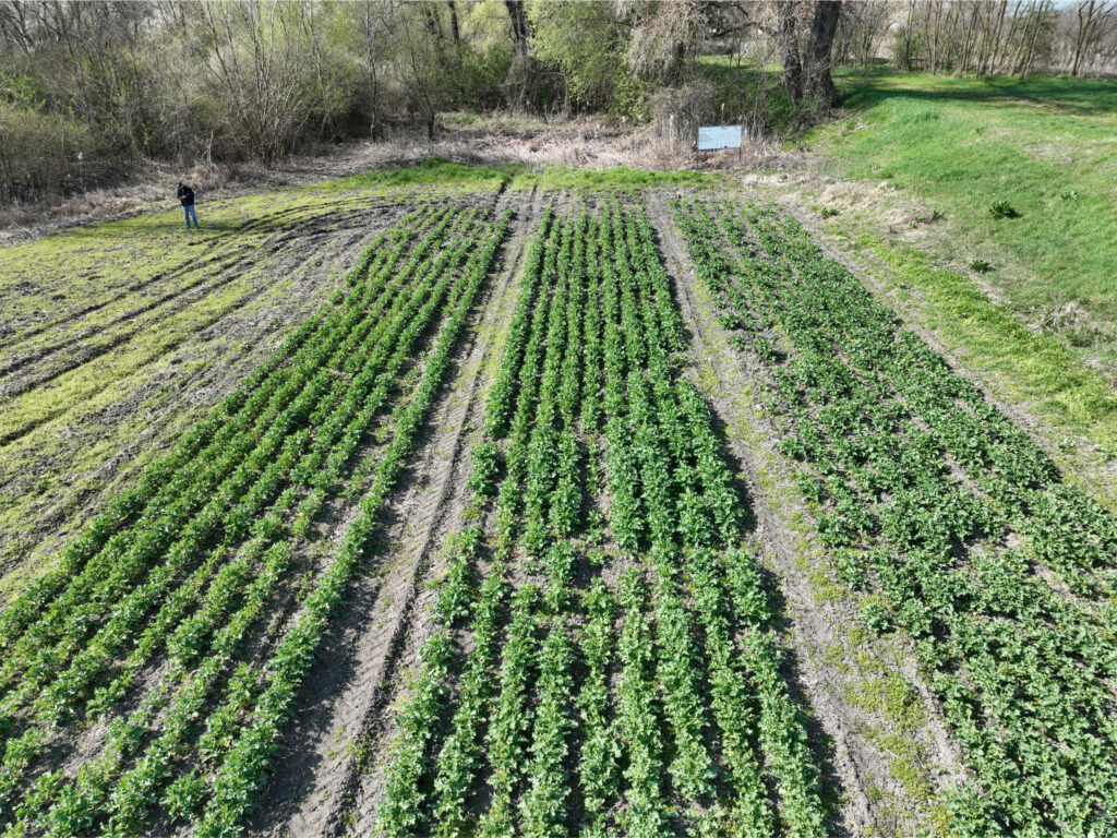 field-update-serbia